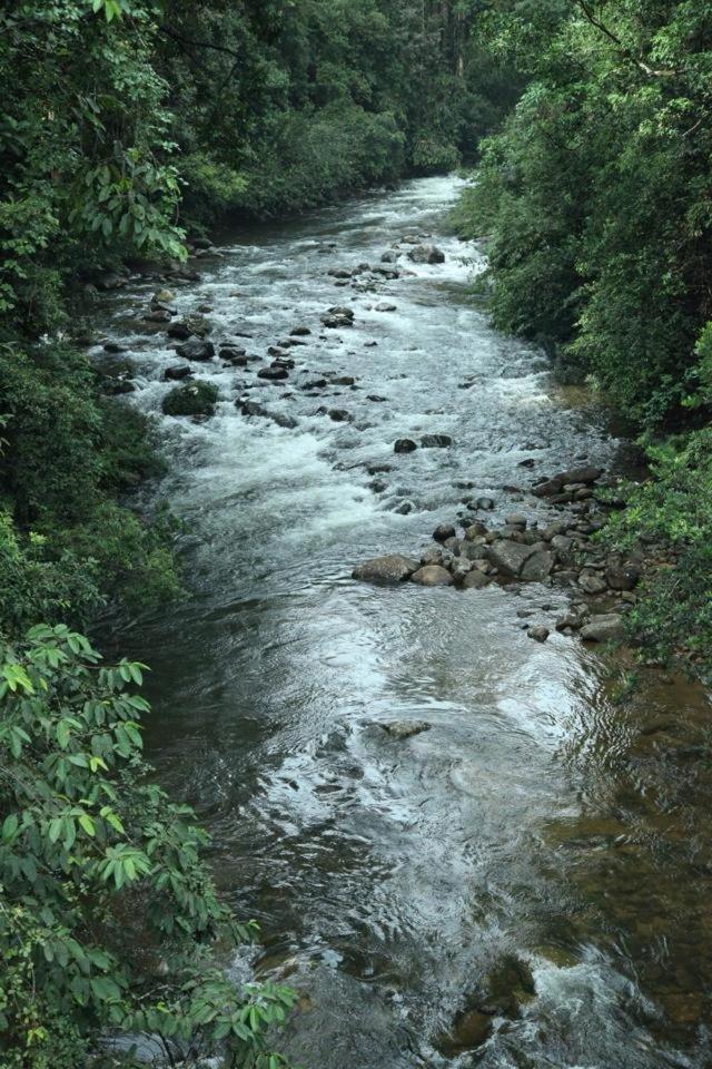 Sinharaja Hostel Deniyaya Buitenkant foto